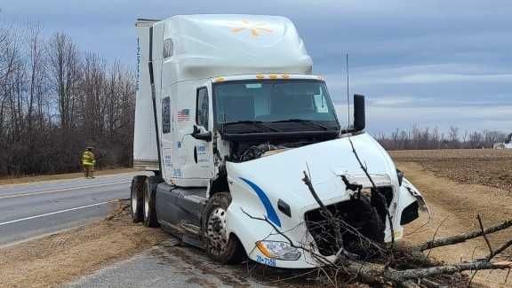 Damaged semi-truck with a crushed front end after hitting a fallen tree on the roadside.